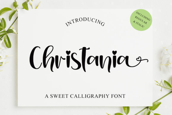 Christania: A Delicate Handwritten Font for Branding